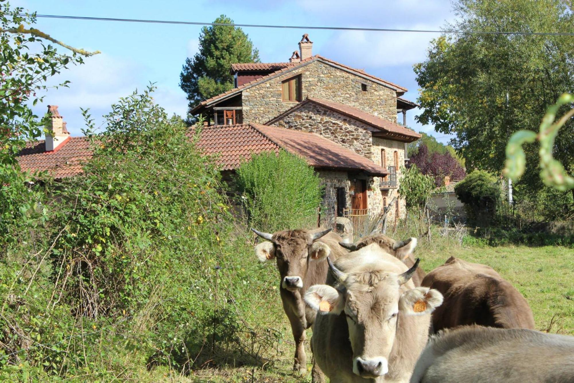 La Forqueta Y El Fontanal * Santa Maria de Ordas